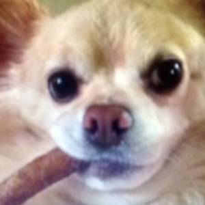 Meet your Posher, Pete